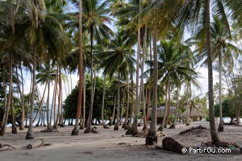 Motu Iriru - Raiatea