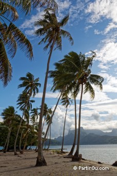 Motu Iriru - Raiatea