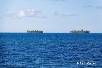 Motus de Tahaa