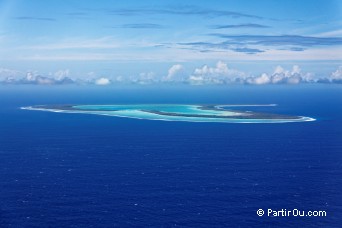 Tupai - Polynésie française