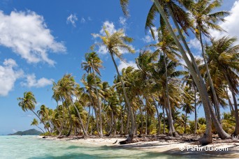 Motu Tevairoa - Bora-Bora