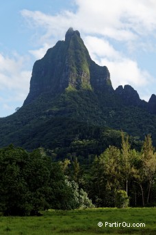 Vallée d'Ōpūnohu - Moorea