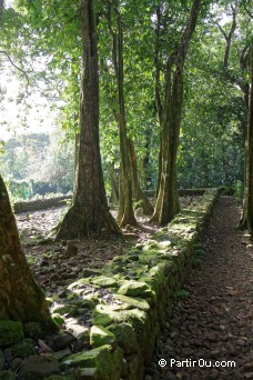 Valle d'Ōpūnohu - Moorea