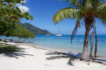 Plage de Ta'ahiamanu - Moorea