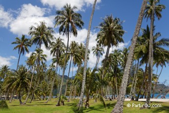 Plage de Ta'ahiamanu - Moorea