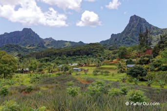 Vallée d'Ōpūnohu - Moorea