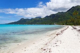 Plage de Temae - Moorea