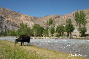 Trek au Ladakh