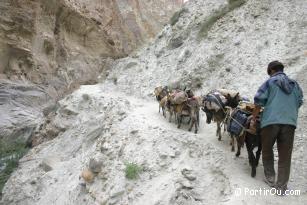 Trekking au Ladakh