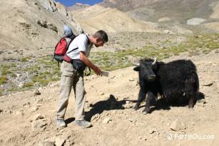 au Ladakh