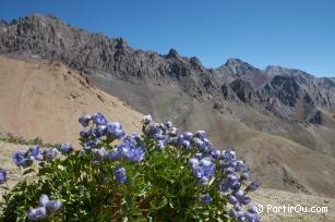 Ladakh