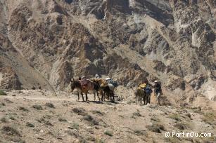 Trekking au Ladakh