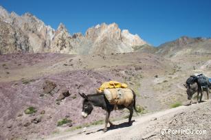 Trekking au Ladakh