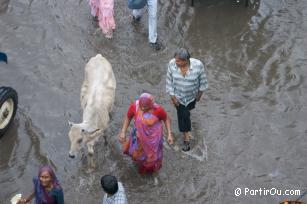 Pluie  Pushkar