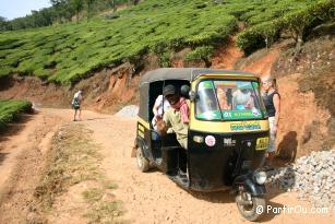 Autour de Munnar en Auto-rickshaw