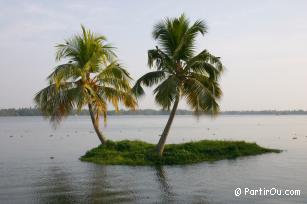 Kerala et Tamil Nadu - Inde