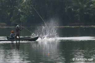 Backwaters