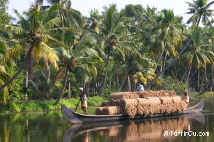 Backwaters