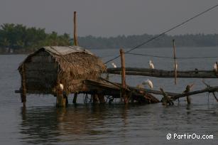 Backwaters