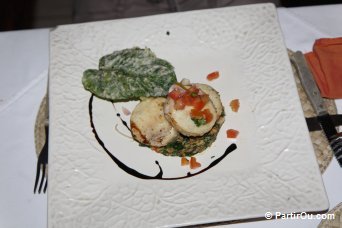 Plat indonésien - Bali