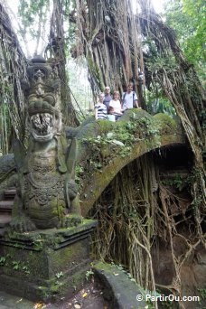 Monkey Forest à Ubud - Bali