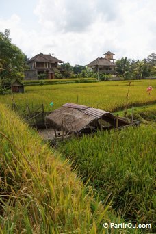 Rizires  Ubud - Bali - Indonsie