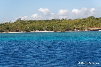 Pulau Menjangan - Bali