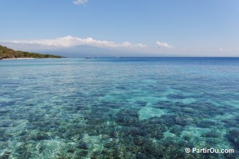 Coral Garden sur Pulau Menjangan - Bali - Indonsie