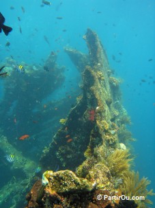 Epave Liberty à Tumamben - Bali