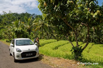 Voiture - Bali - Indonesie