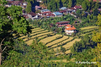 Munduk - Bali - Indonsie