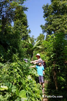 Balade vers la cascade Melanting - Bali - Indonsie