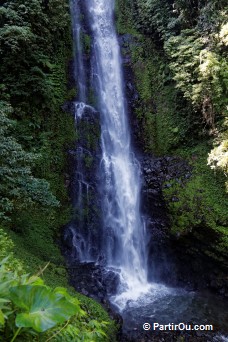 Cascade Melanting (région de Munduk) - Bali