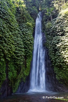 Cascade Laagan - Bali - Indonésie