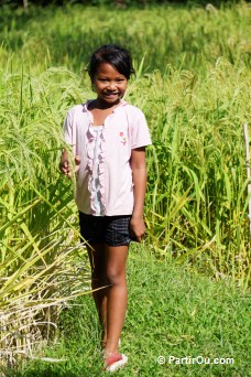 Balade dans les rizires de Munduk - Bali - Indonsie