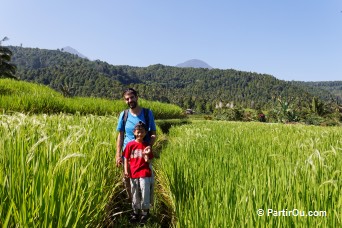 Dans les rizières de Munduk - Bali