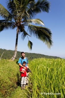 Balade dans les rizires de Munduk - Bali - Indonsie