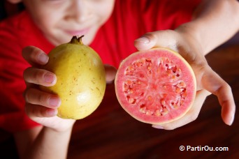 Les fruits exotiques