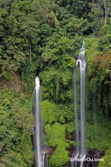 Cascades Sekumpul - Bali
