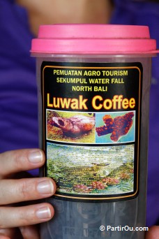Café Luwak de Bali