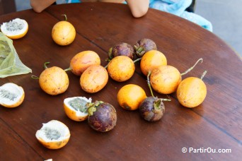 Grenadilles et Mangoustans - Bali - Indonsie