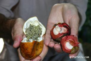 Fruit de la passion et Mangoustan