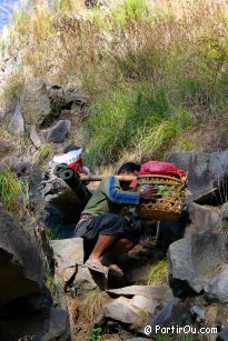 Descente vers le lac Segara Anak - Rinjani - Indonsie