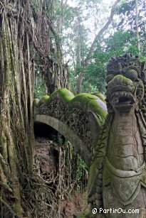 Monkey Forest à Ubud - Bali - Indonésie