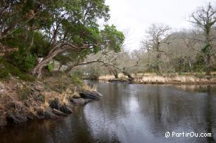 Autour de Killarney