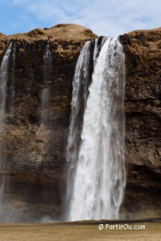 Cascade Seljalandsfoss - Islande