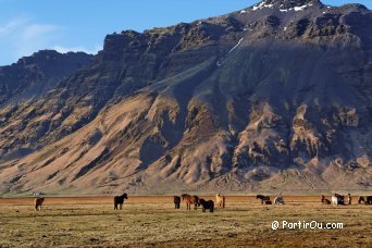 Sud de l'Islande