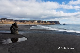 Reynisfjall depuis Dyrhlaey - Islande