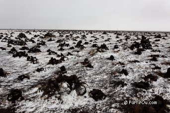 Cairns de Laufsklavara - Islande