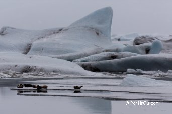 Glacier de Jkulsrln - Islande